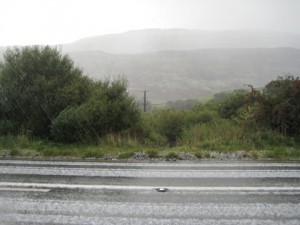 img_1087 Hailing