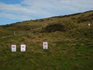 Separating wheat from chaff - I'm chaff - 10km for me