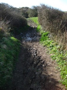 Muddy mess Muddy mess