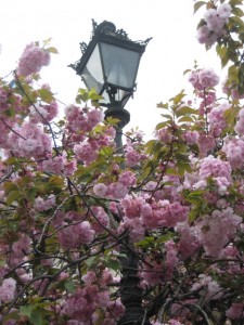 Lamp post with blossoms