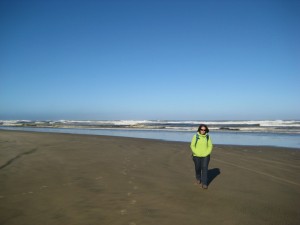 Baileys Beach near Dargaville